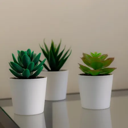 Lobos Village - 4* Seia