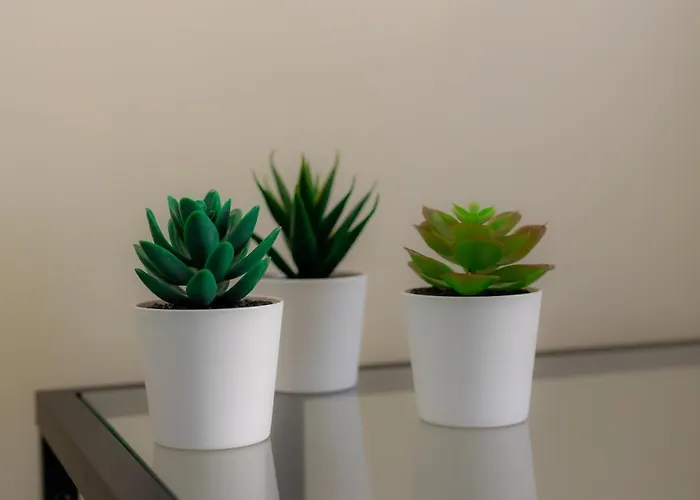 Lobos Village - 4* Seia