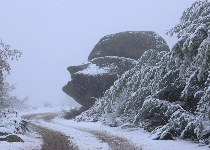 Lobos Village - Couette-café